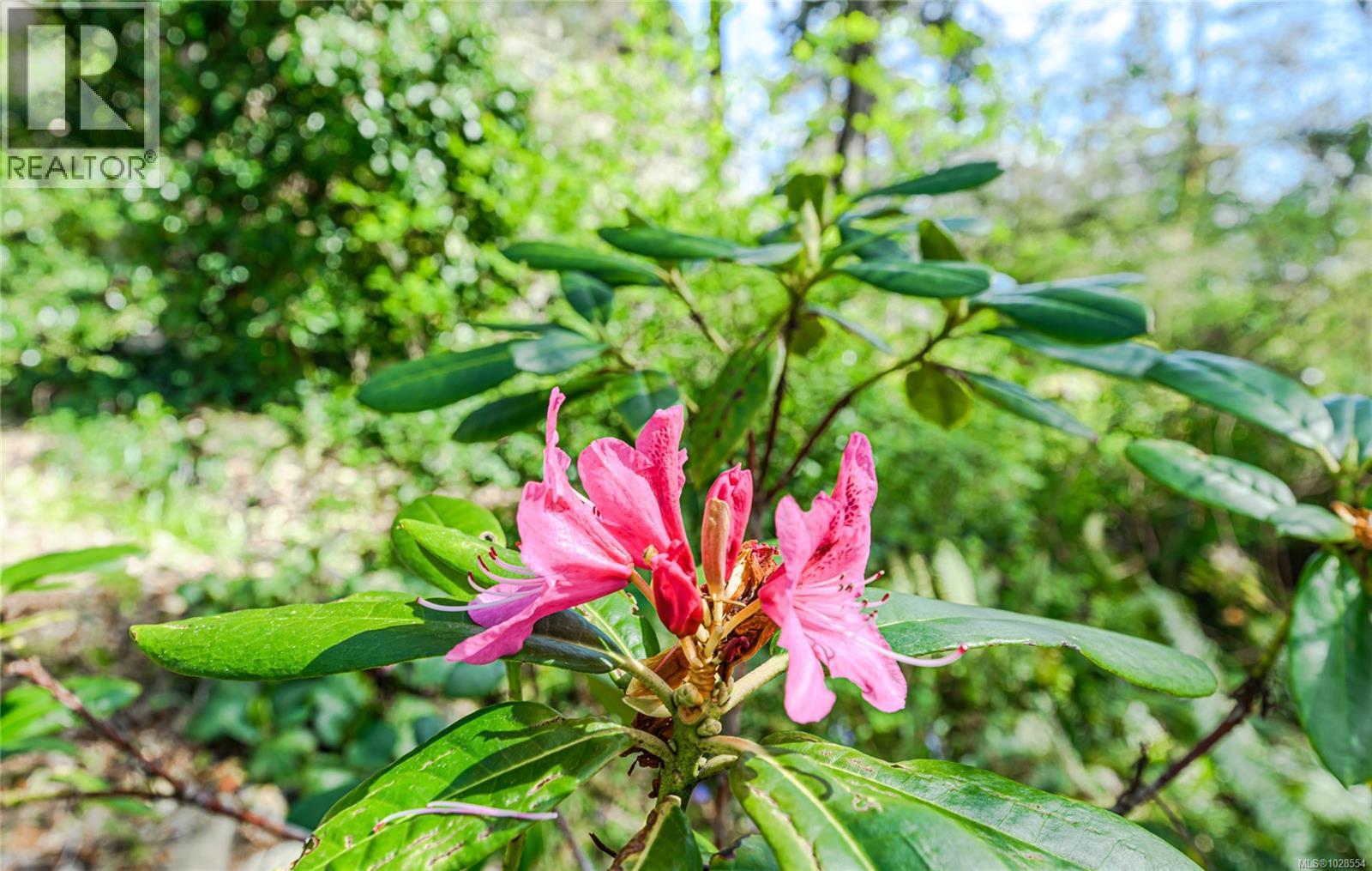 1254 Burnside Rd W, View Royal, British Columbia  V8Z 1N9 - Photo 31 - 1028554