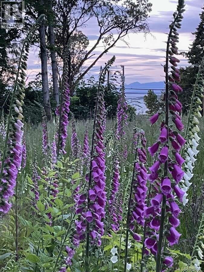 Lot B 7713 Lantzville Rd, Lantzville, British Columbia V0R 2H0 - Photo 16 - 1028887