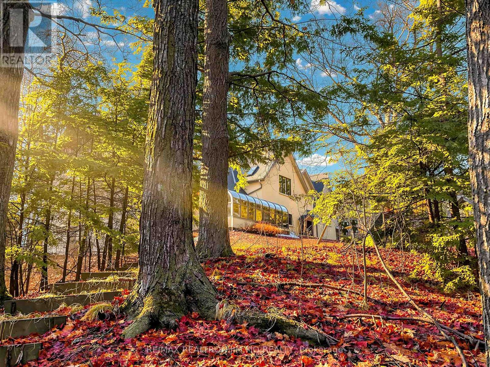 1785 Davis Drive W, King, Ontario  L3Y 4V9 - Photo 12 - N12869374