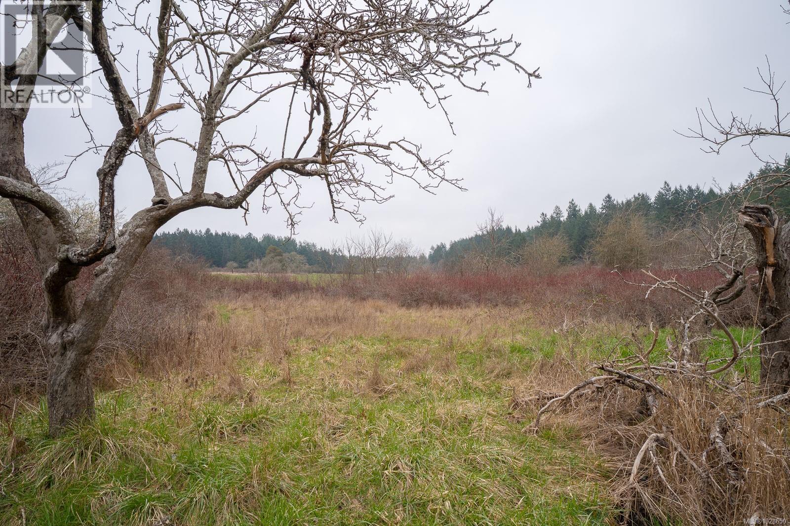 2976 South Rd, Gabriola Island, British Columbia V0R 1X7 - Photo 22 - 1028650