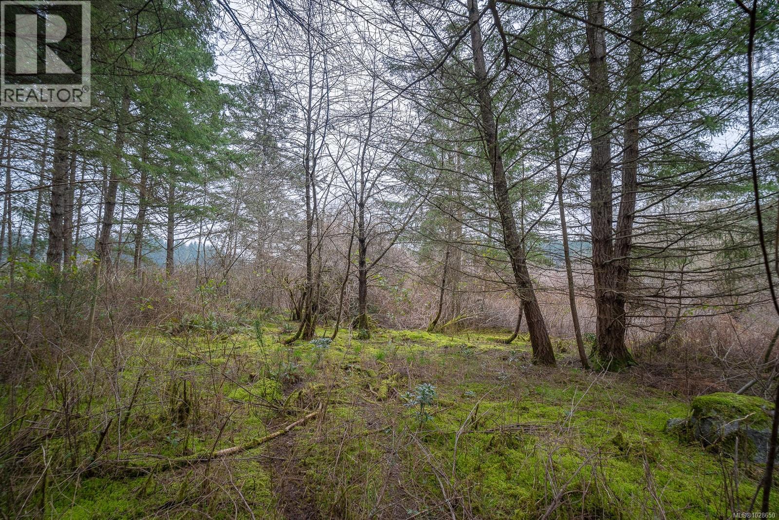 2976 South Rd, Gabriola Island, British Columbia V0R 1X7 - Photo 28 - 1028650