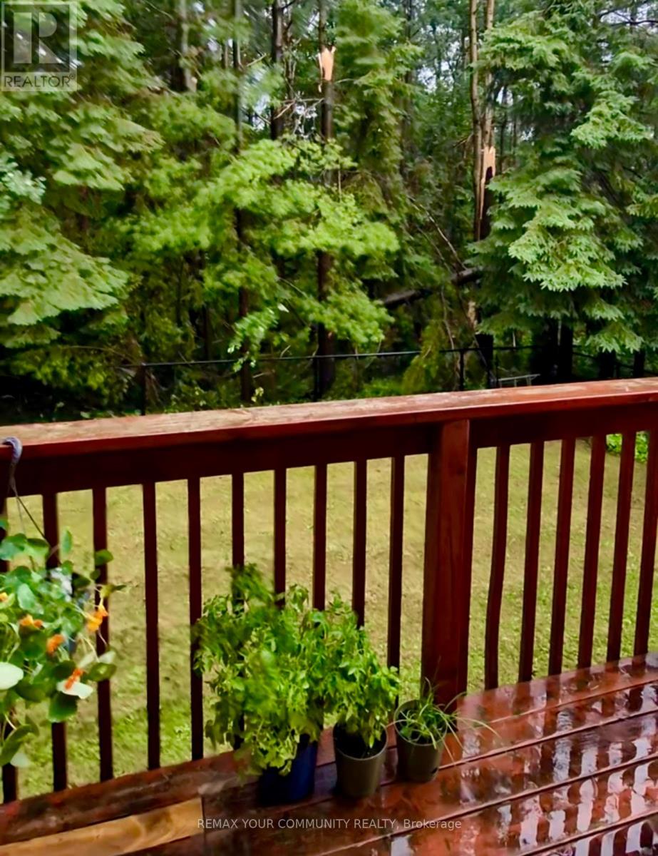 111 Worthington Avenue, Richmond Hill, Ontario  L4E 3Z6 - Photo 37 - N12836478