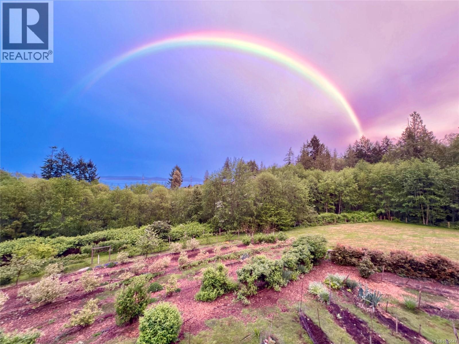 2580 Ingram Rd E, Ladysmith, British Columbia V9G 1E4 - Photo 43 - 1025647