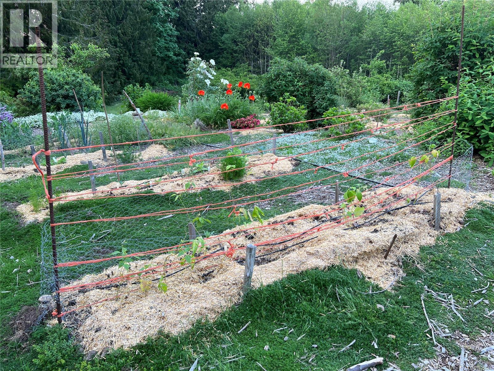 2580 Ingram Rd E, Ladysmith, British Columbia V9G 1E4 - Photo 42 - 1025647