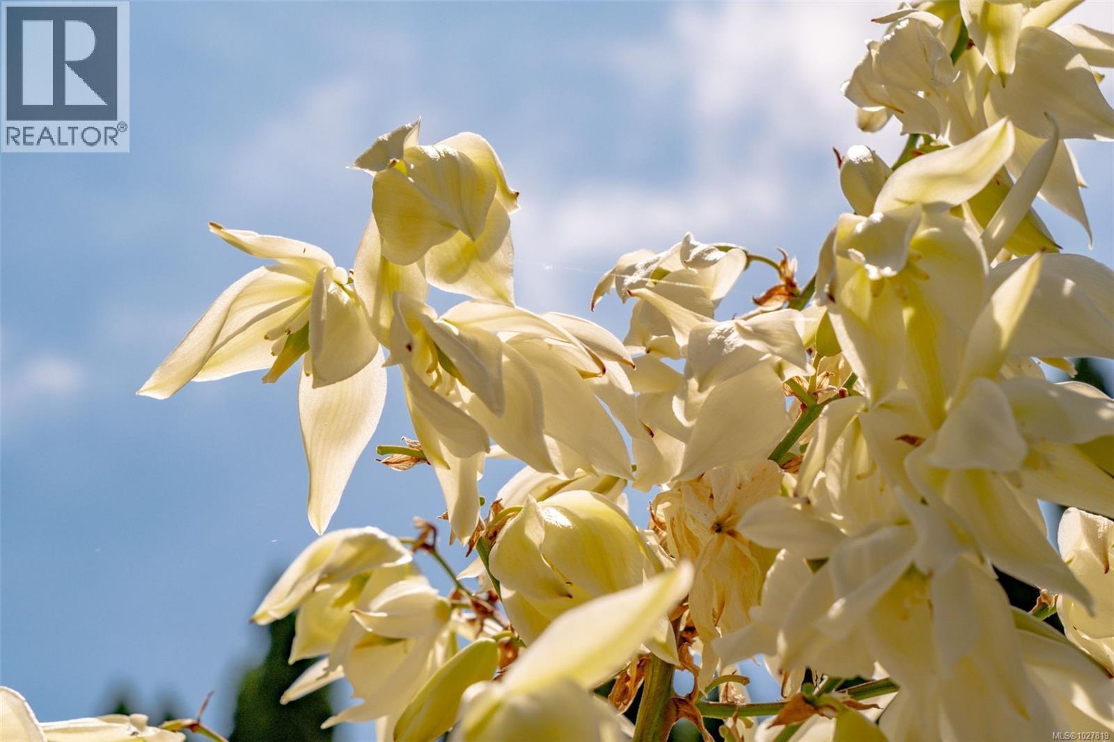 2897 Fuller Lake Rd, Chemainus, British Columbia V0R 1K5 - Photo 54 - 1027819