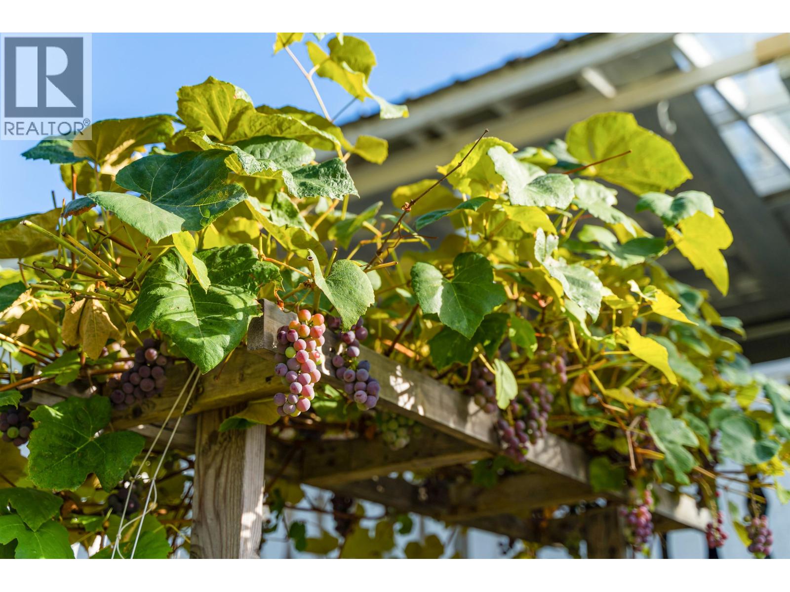 2317 Como Lake Avenue, Coquitlam, British Columbia  V3J 3R7 - Photo 37 - R3099619