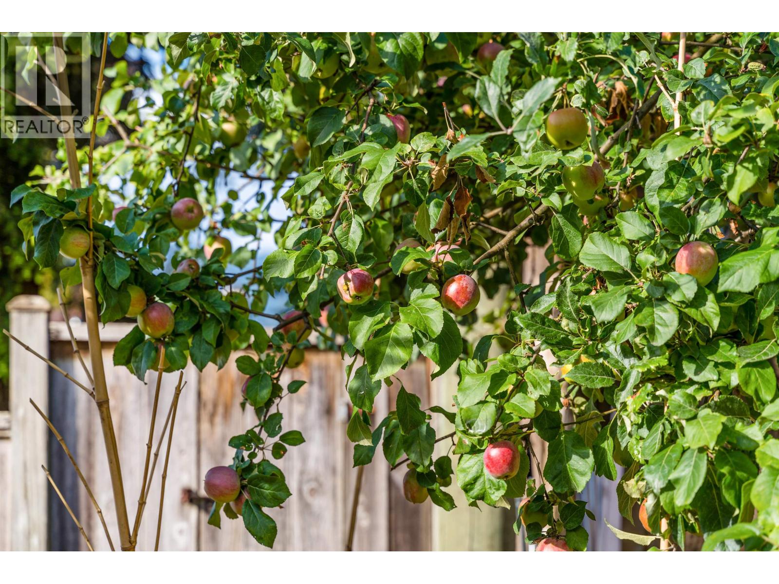 2317 Como Lake Avenue, Coquitlam, British Columbia  V3J 3R7 - Photo 36 - R3099619