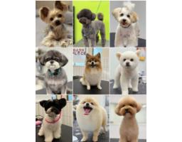 103 14390 64 AVENUE, Surrey, British Columbia