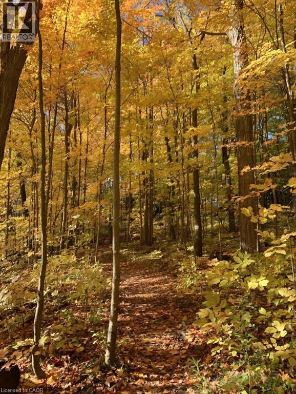 441 Woodbine Avenue, Kitchener, Ontario  N2R 0A6 - Photo 42 - 40811992