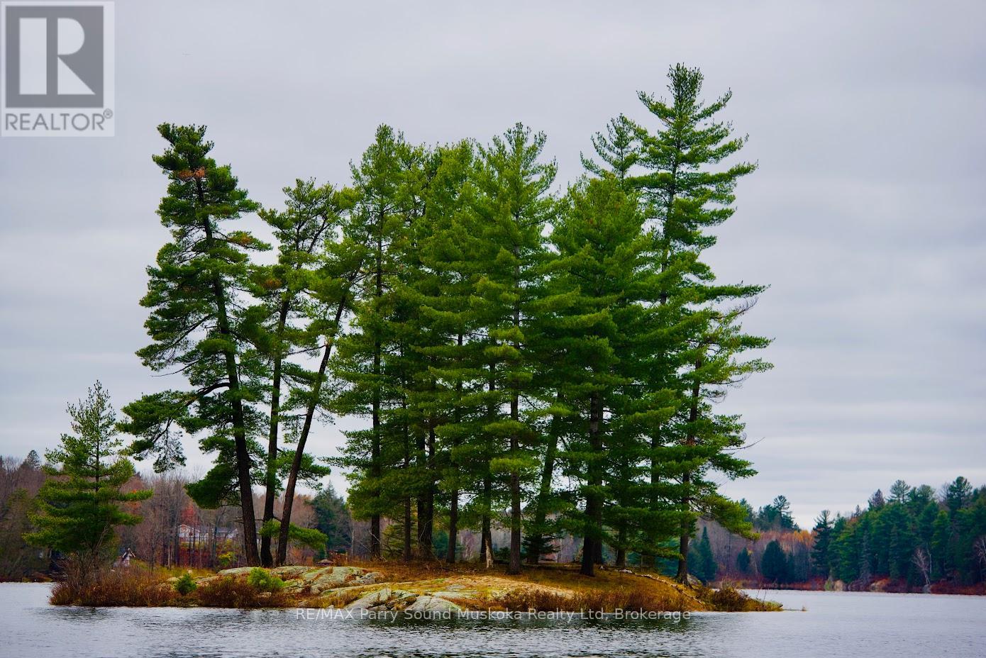 00 Jack's, Parry Sound Remote Area, Ontario  P0H 1A0 - Photo 7 - X12883314