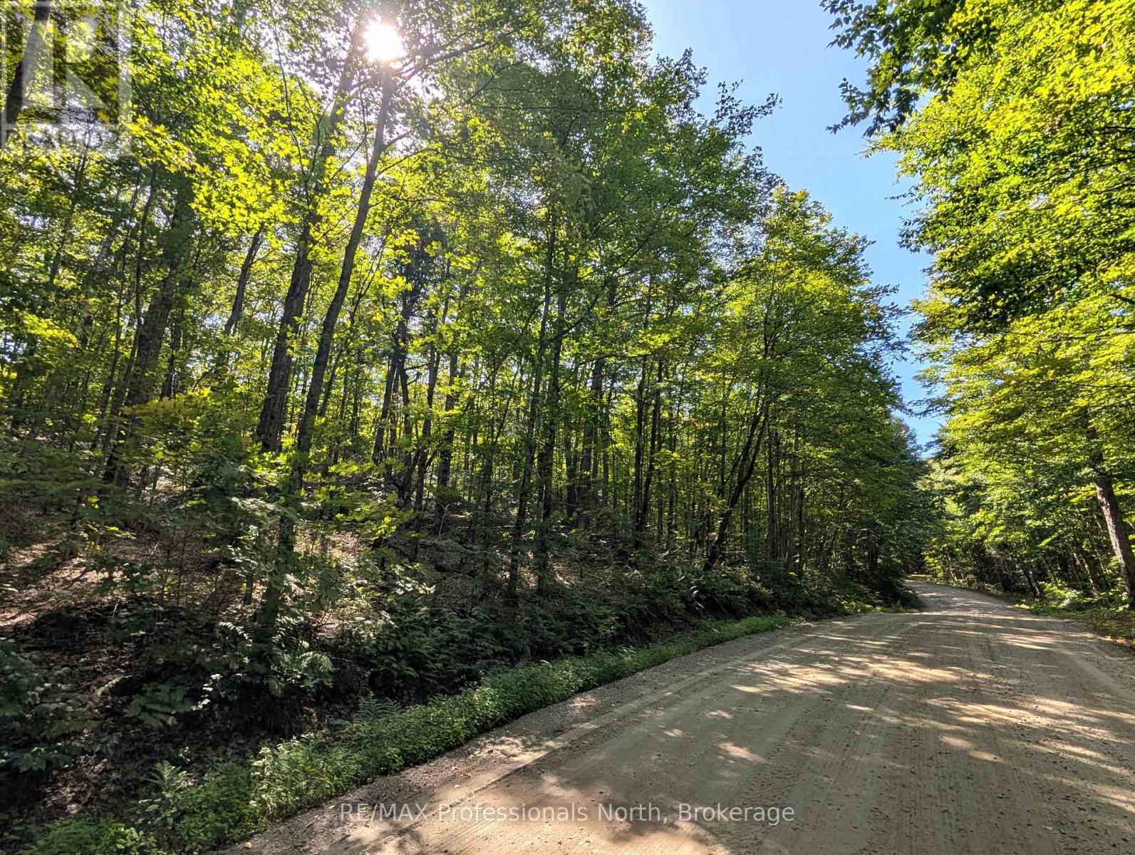 611 Bray Lake Road, Machar, Ontario  P0A 1X0 - Photo 14 - X12883316