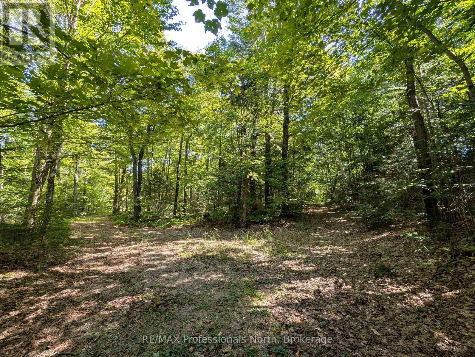 611 Bray Lake Road, Machar, Ontario  P0A 1X0 - Photo 2 - X12883316