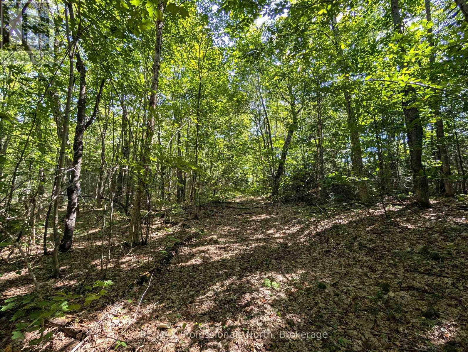 611 Bray Lake Road, Machar, Ontario  P0A 1X0 - Photo 3 - X12883316