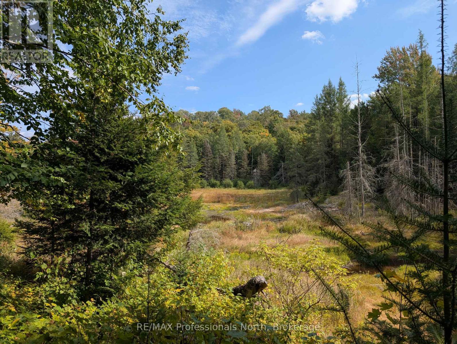 611 Bray Lake Road, Machar, Ontario  P0A 1X0 - Photo 8 - X12883316