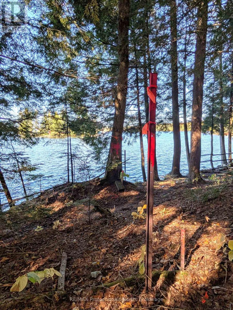 40 Centre Road, Parry Sound Remote Area, Ontario  P0A 1X0 - Photo 22 - X12883320