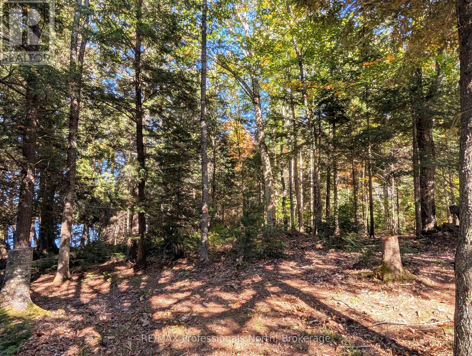 40 Centre Road, Parry Sound Remote Area, Ontario  P0A 1X0 - Photo 23 - X12883320