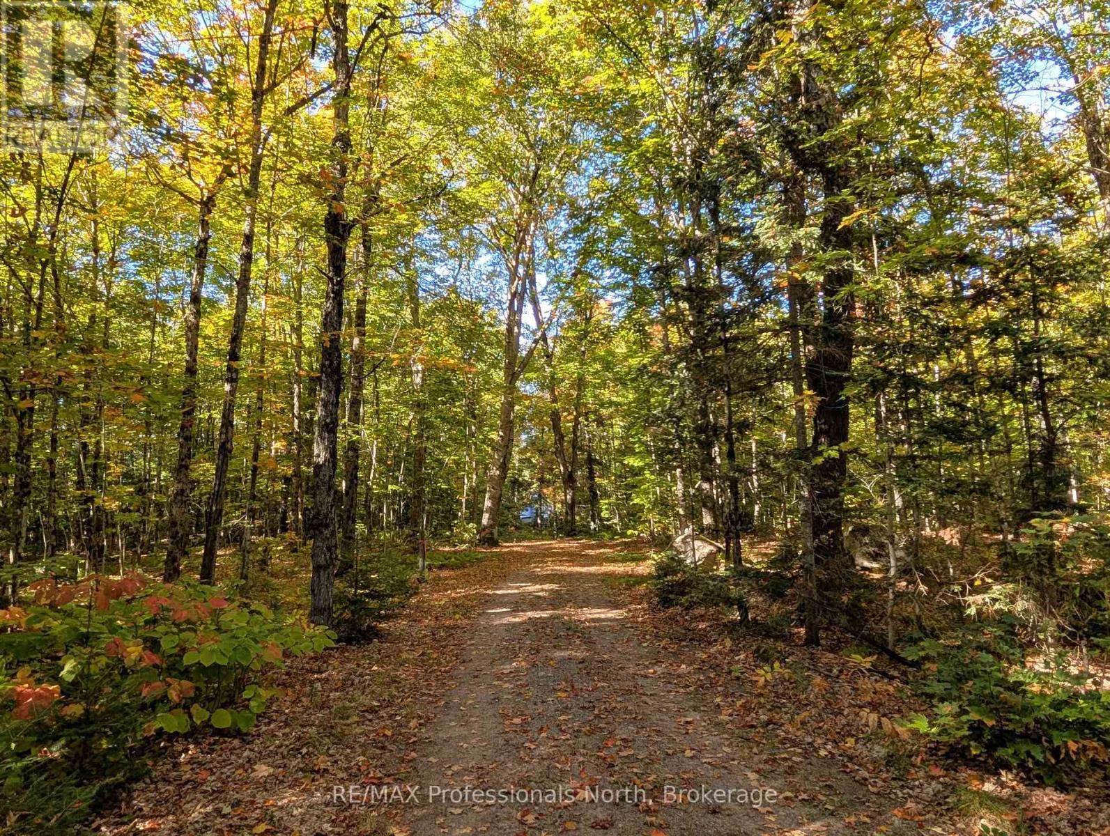 40 Centre Road, Parry Sound Remote Area, Ontario  P0A 1X0 - Photo 26 - X12883320