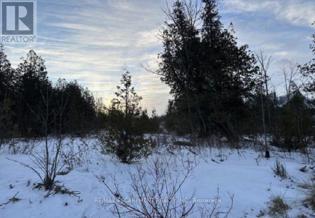 147 Wilson Drive, Georgian Bluffs, Ontario  N0H 2T0 - Photo 5 - X12883432