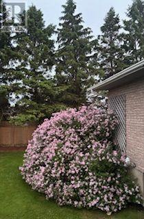 4359 County Rd 9 Road, The Nation, Ontario K0C 2B0 - Photo 29 - X12883494