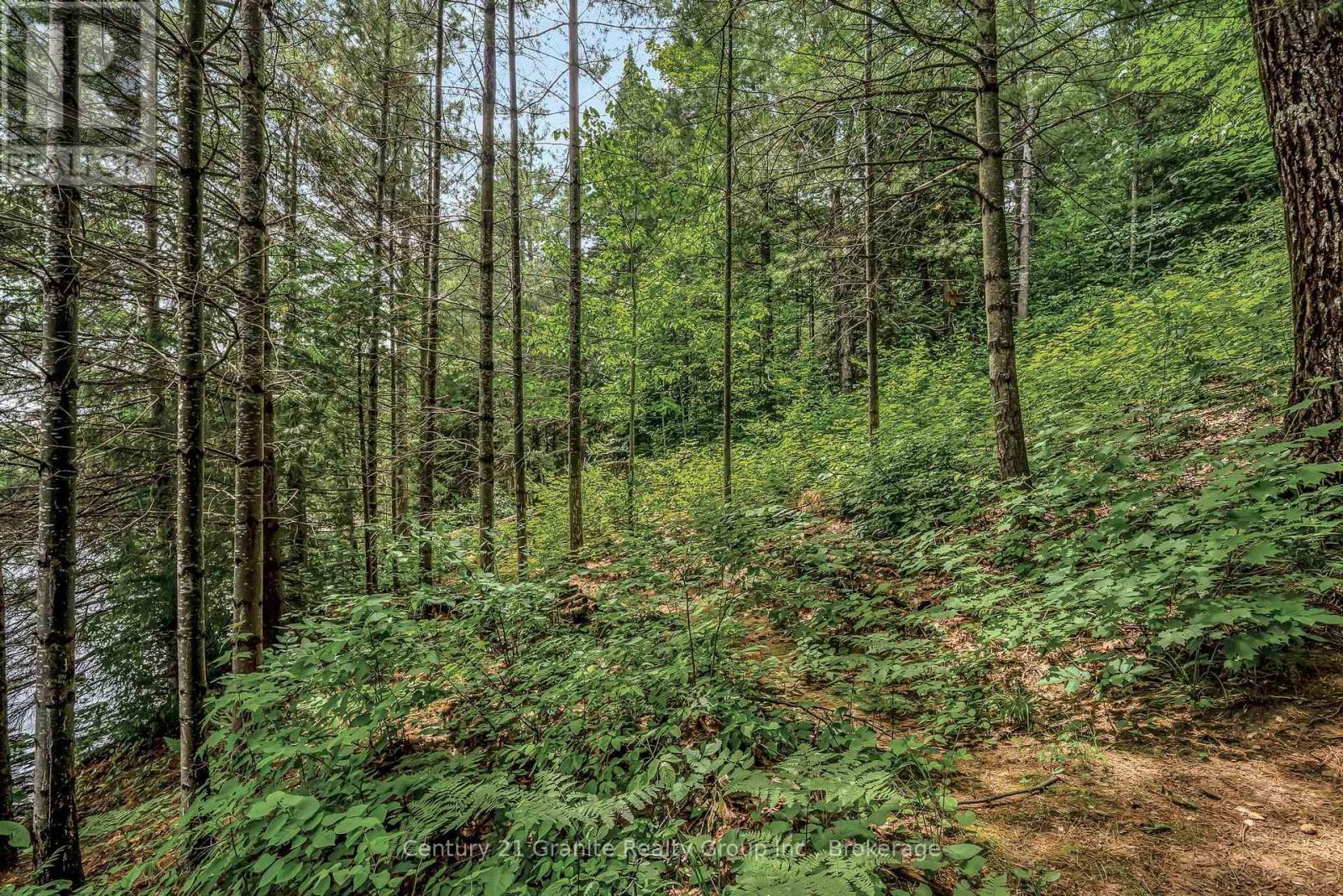 1031 Rotunda Drive, Highlands East, Ontario  K0M 1R0 - Photo 49 - X12883540