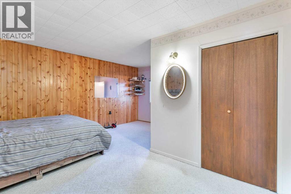 4152 47 Avenue, Rocky Mountain House, Alberta  T4T 1C8 - Photo 19 - A2259425