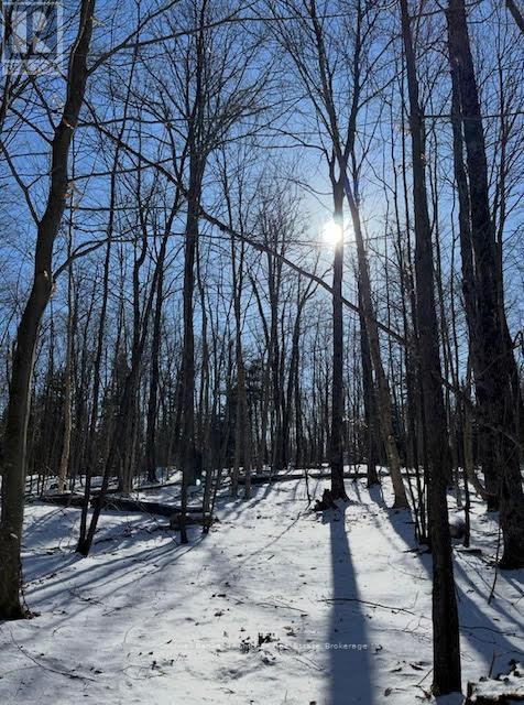 440 Riding Ranch Road, Machar, Ontario  P0A 1X0 - Photo 1 - X12883732
