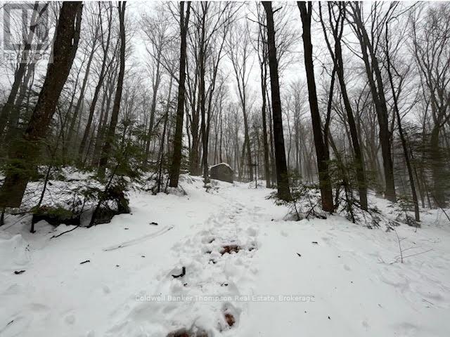 440 Riding Ranch Road, Machar, Ontario  P0A 1X0 - Photo 10 - X12883732