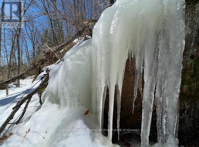 440 Riding Ranch Road, Machar, Ontario  P0A 1X0 - Photo 12 - X12883732