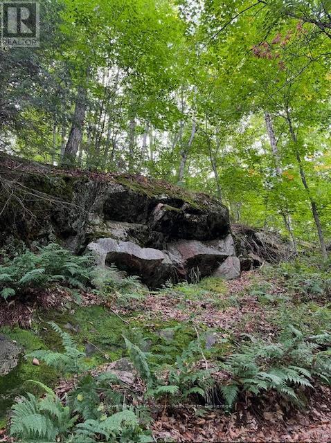 440 Riding Ranch Road, Machar, Ontario  P0A 1X0 - Photo 15 - X12883732