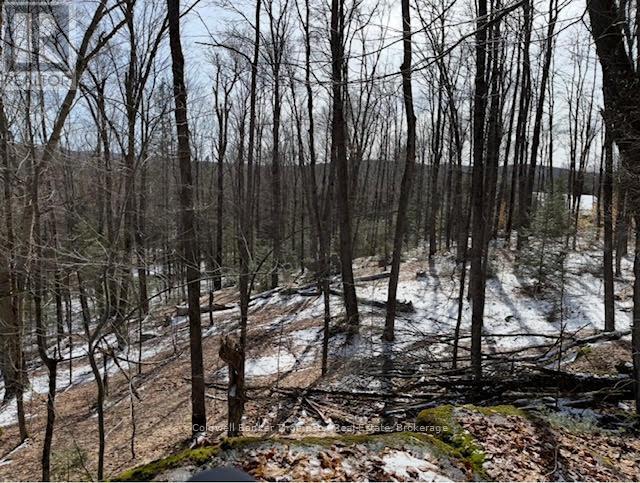 440 Riding Ranch Road, Machar, Ontario  P0A 1X0 - Photo 19 - X12883732