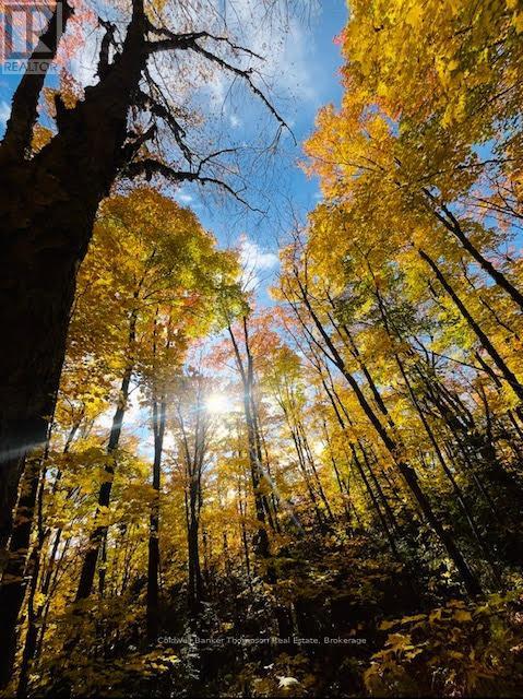 440 Riding Ranch Road, Machar, Ontario  P0A 1X0 - Photo 23 - X12883732