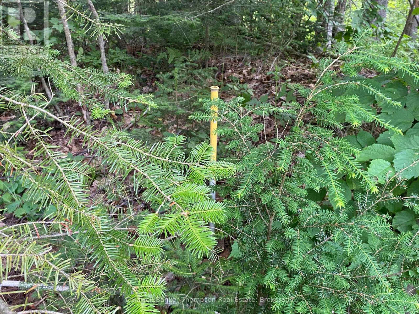 440 Riding Ranch Road, Machar, Ontario  P0A 1X0 - Photo 24 - X12883732