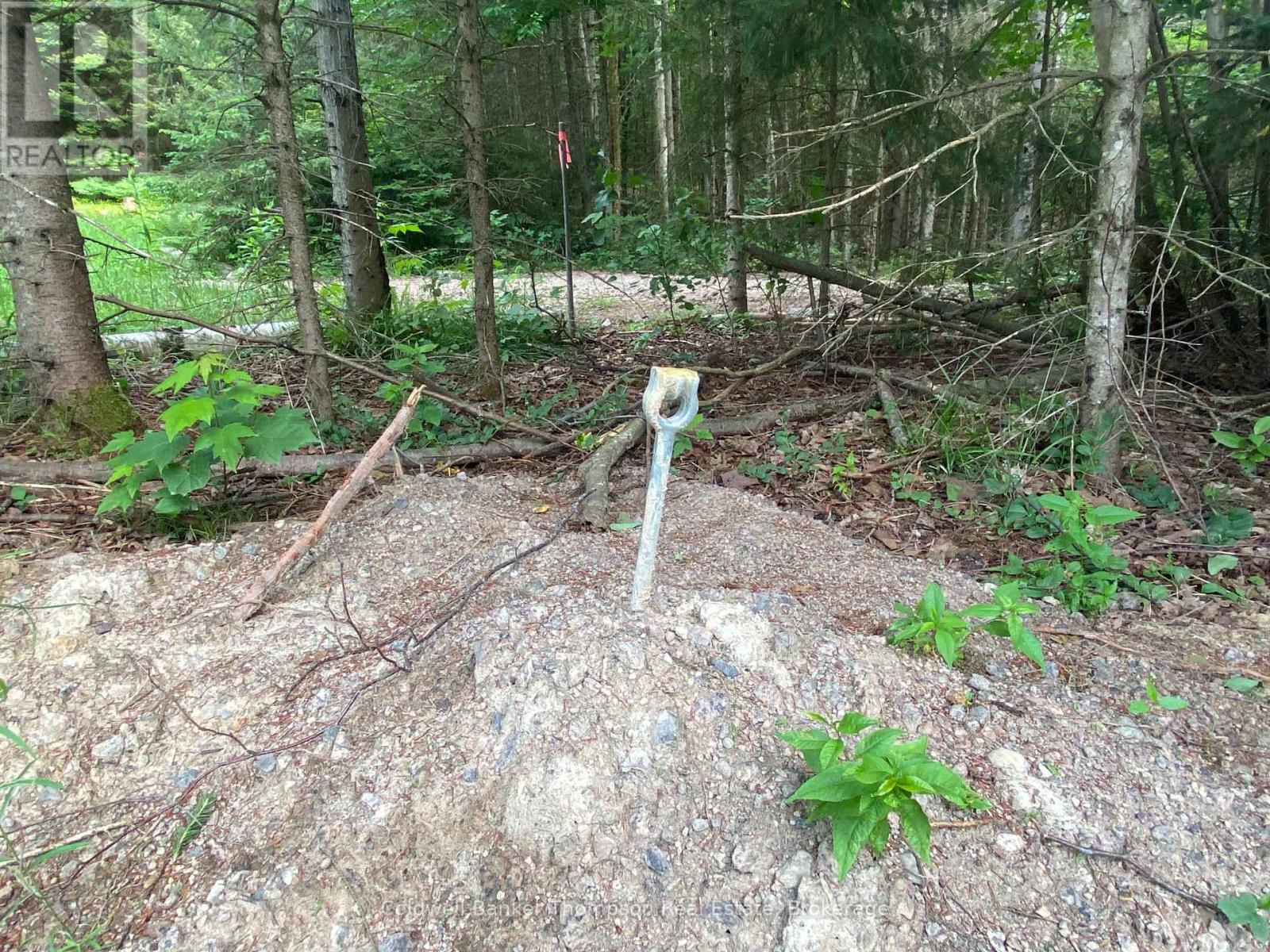 440 Riding Ranch Road, Machar, Ontario  P0A 1X0 - Photo 25 - X12883732