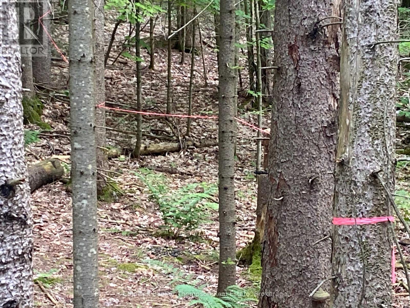 440 Riding Ranch Road, Machar, Ontario  P0A 1X0 - Photo 28 - X12883732