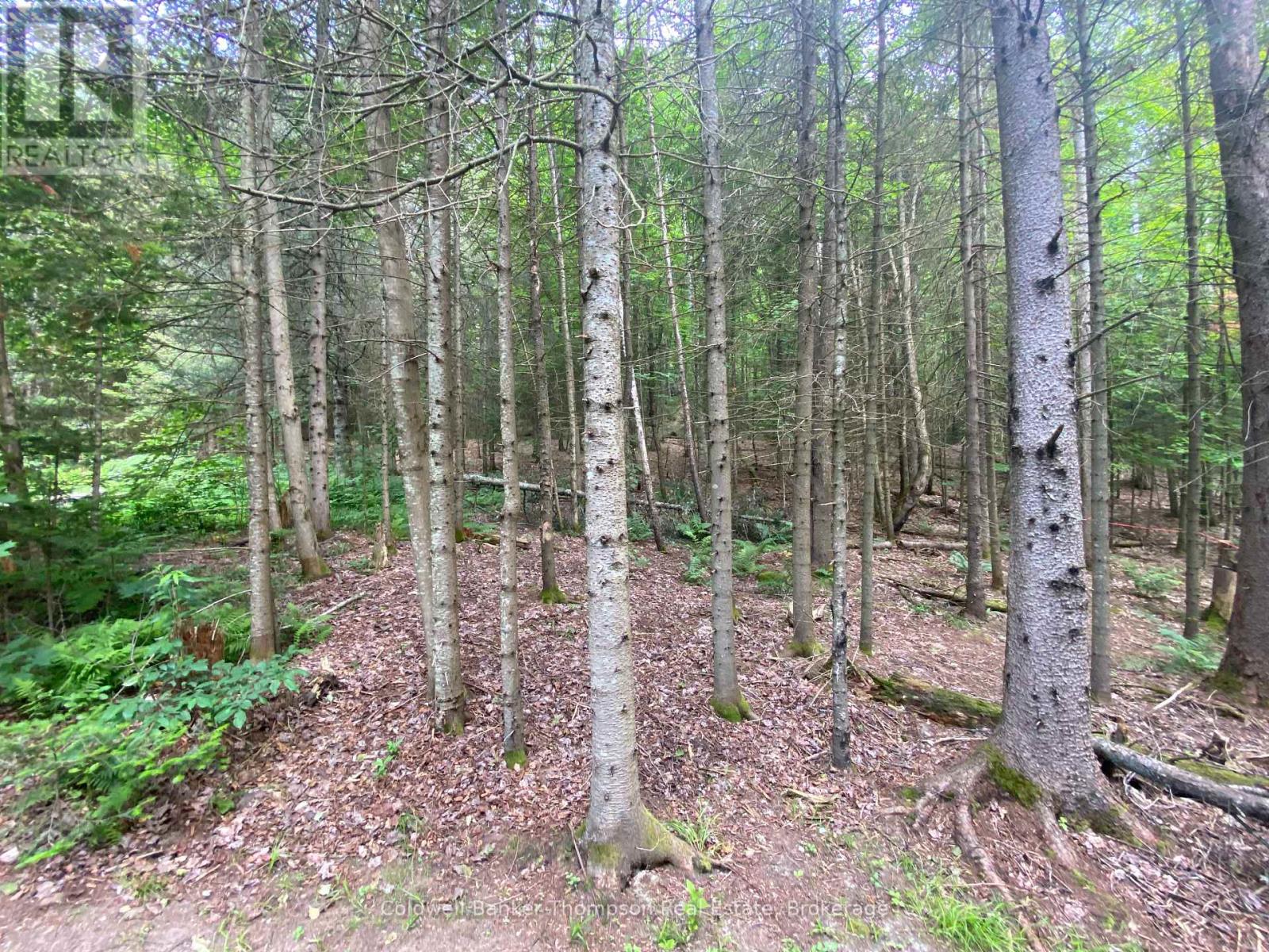 440 Riding Ranch Road, Machar, Ontario  P0A 1X0 - Photo 29 - X12883732