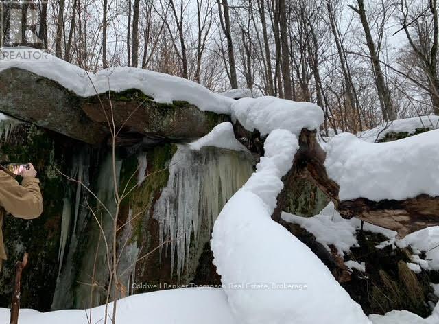 440 Riding Ranch Road, Machar, Ontario  P0A 1X0 - Photo 6 - X12883732