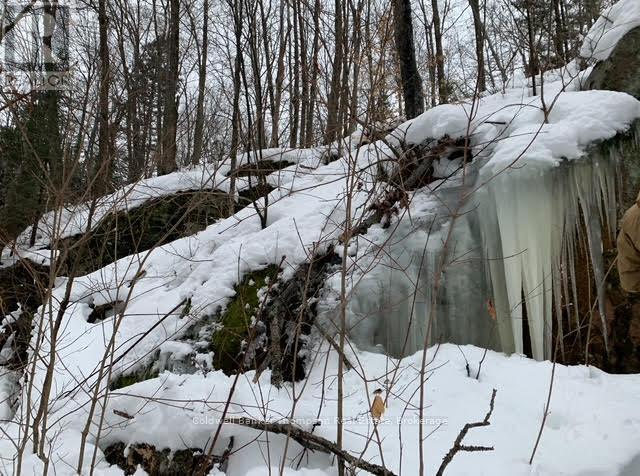 440 Riding Ranch Road, Machar, Ontario  P0A 1X0 - Photo 7 - X12883732