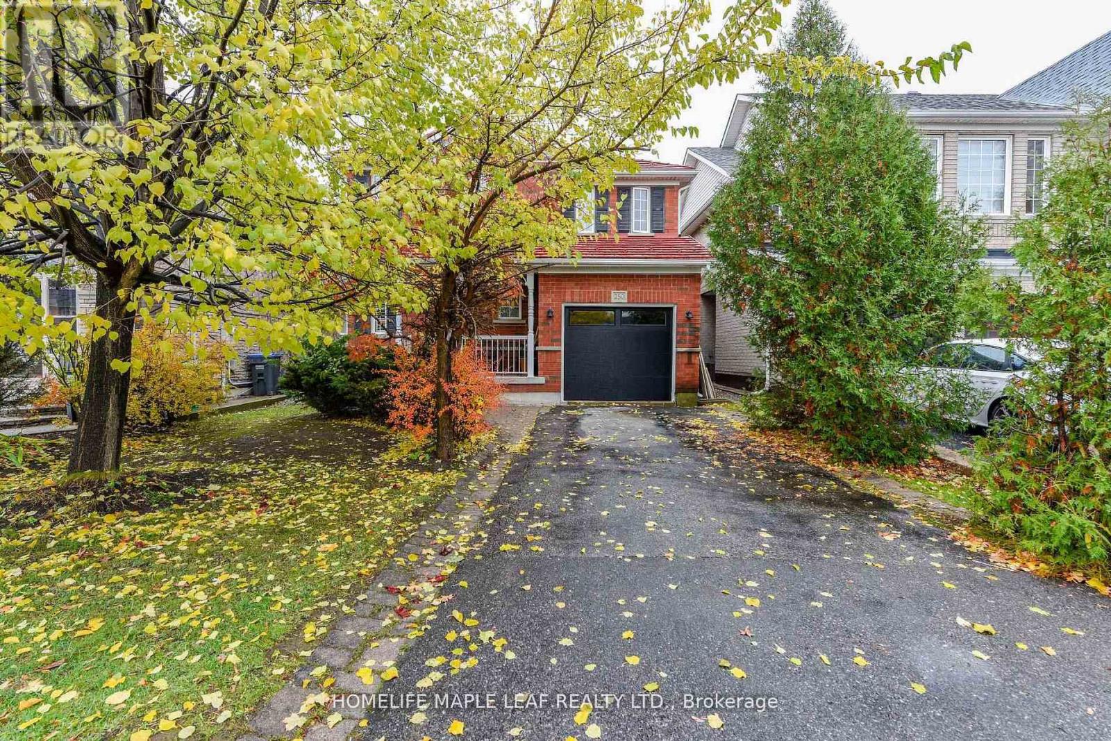 250 Brisdale Drive, Brampton, Ontario  L7A 2T3 - Photo 4 - W12866274