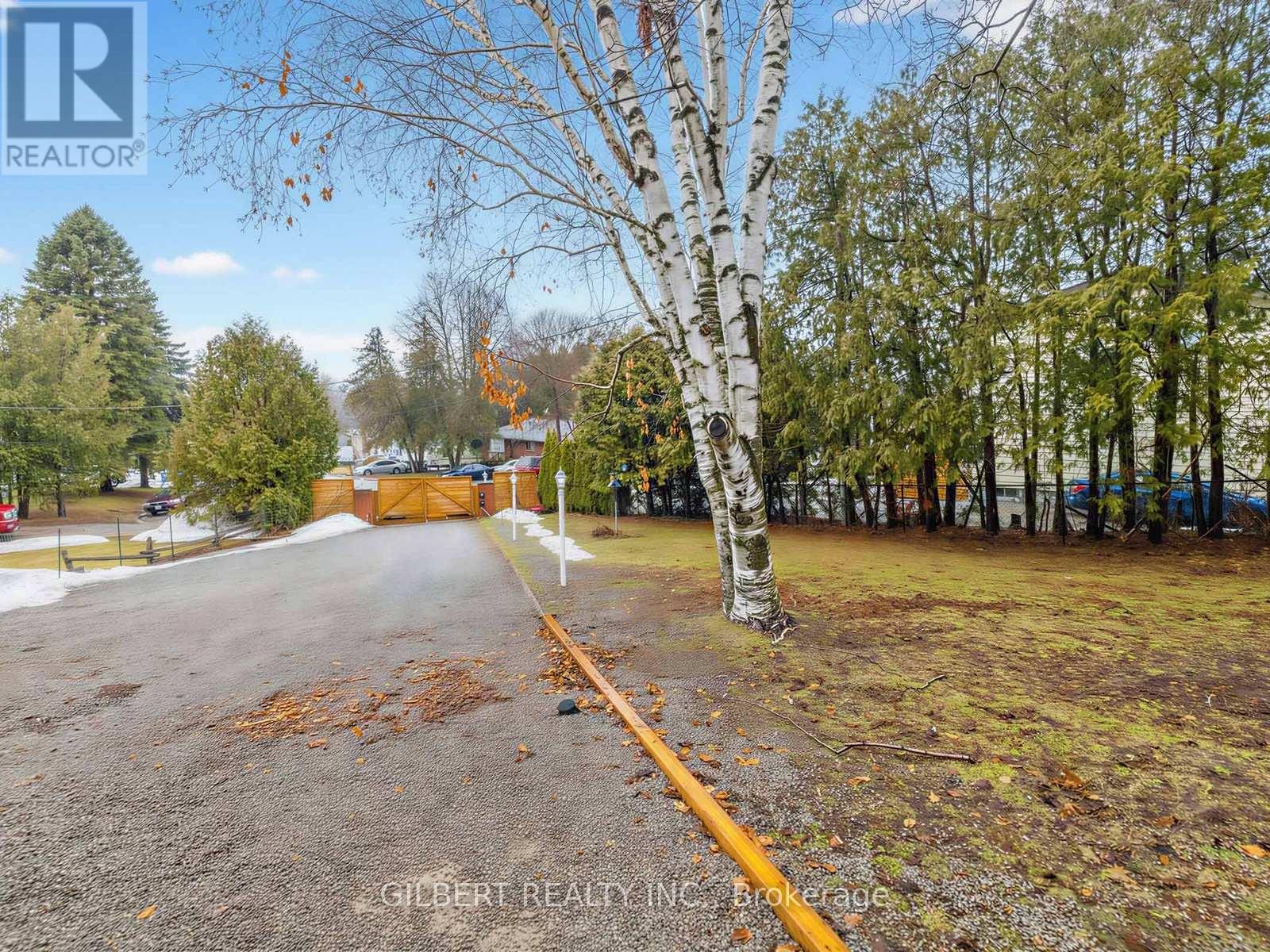 313 Winnifred Drive, Georgina, Ontario  L4P 3B4 - Photo 39 - N12875290