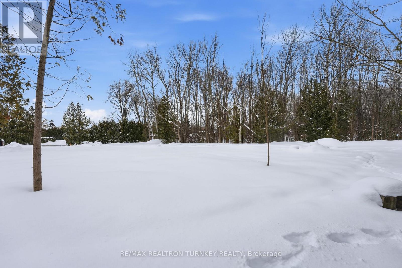 N/a Sina Street, Georgina, Ontario  L0E 1S0 - Photo 8 - N12855256