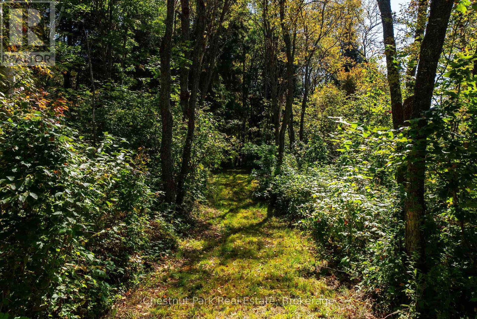 00 Deer Lake Road, Perry, Ontario  P0A 1J0 - Photo 36 - X12416296