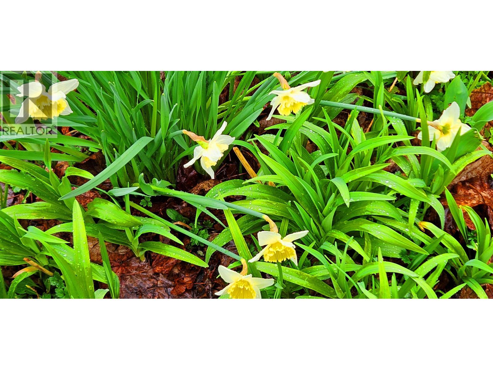 3161 W 6th Avenue, Vancouver, British Columbia  V6K 1X5 - Photo 26 - R3099800