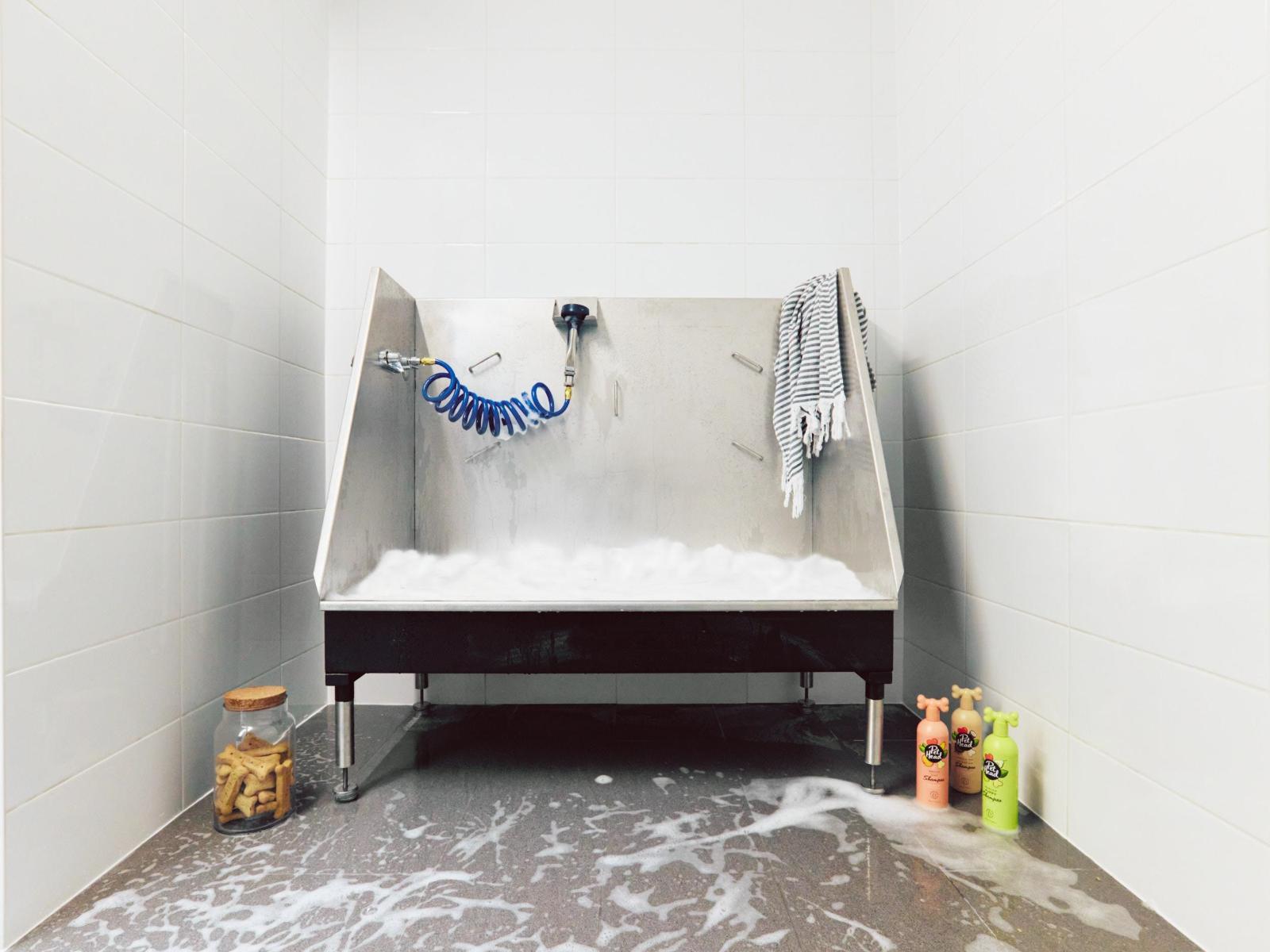 109 15730 Fraser Highway, Surrey, British Columbia  V0V 0V0 - Photo 5 - R3099710