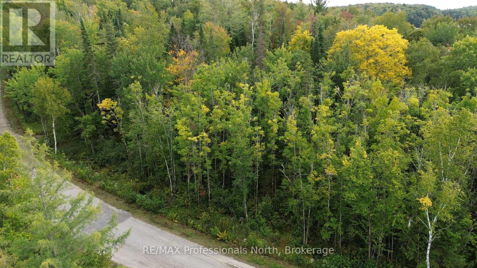 Pcl 20438 & 29803 Upper Walker Lake Road, Lake Of Bays, Ontario P1H 2J6 - Photo 7 - X12884098