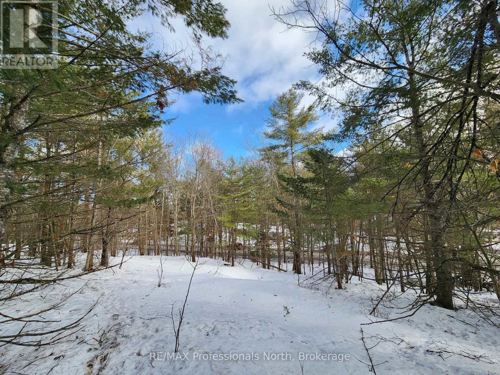 00 Manitoba Road, Bracebridge, Ontario  P1L 1W9 - Photo 10 - X12884116