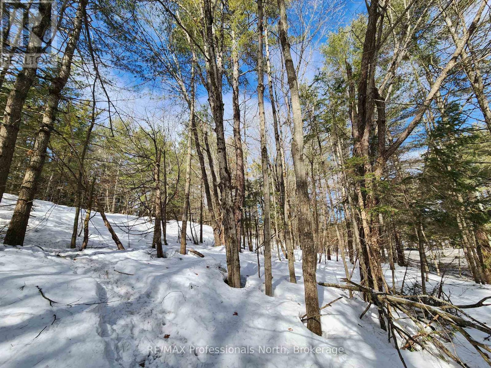 00 Manitoba Road, Bracebridge, Ontario  P1L 1W9 - Photo 11 - X12884116