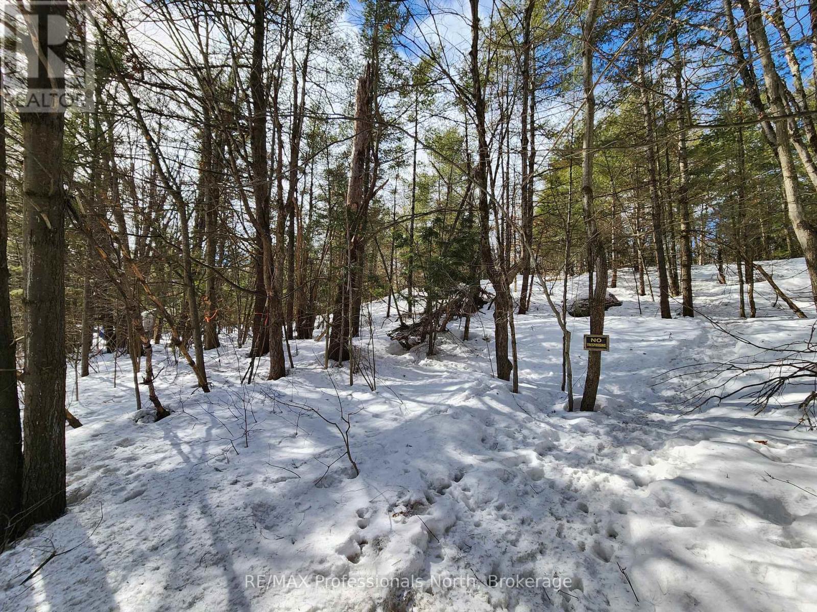 00 Manitoba Road, Bracebridge, Ontario  P1L 1W9 - Photo 4 - X12884116