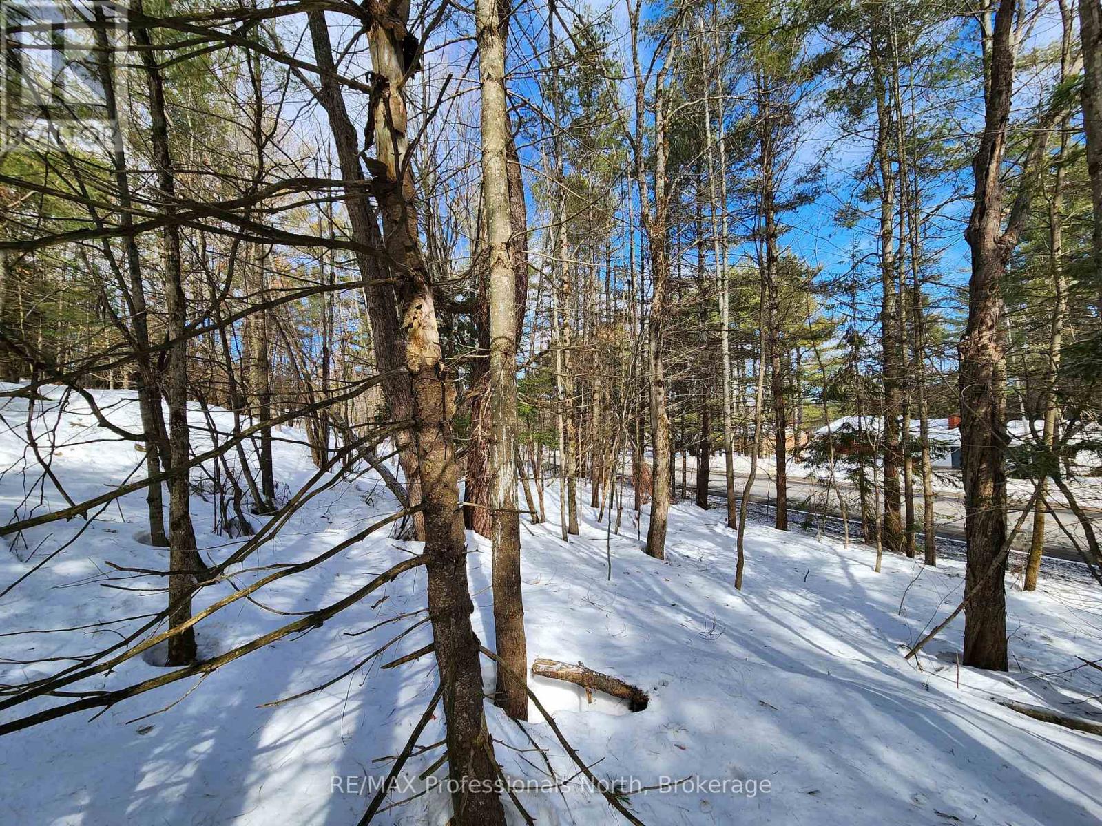 00 Manitoba Road, Bracebridge, Ontario  P1L 1W9 - Photo 5 - X12884116