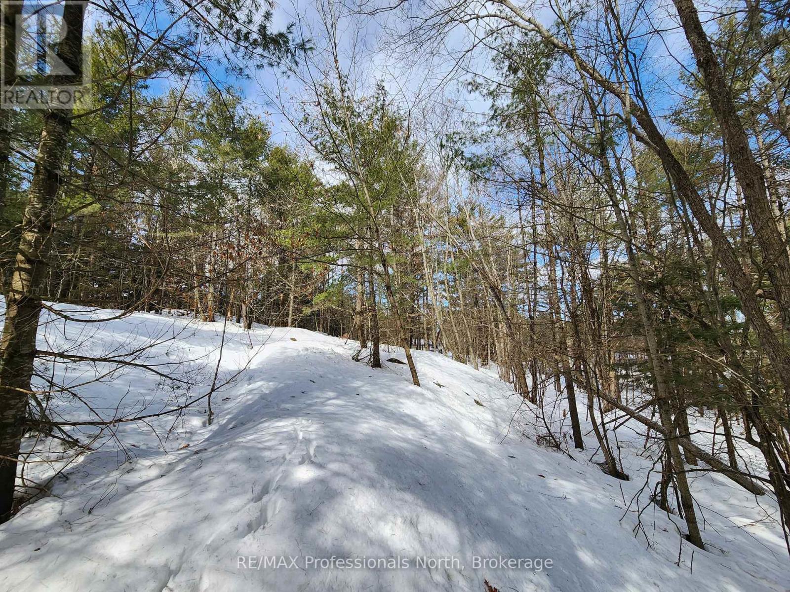 00 Manitoba Road, Bracebridge, Ontario  P1L 1W9 - Photo 8 - X12884116
