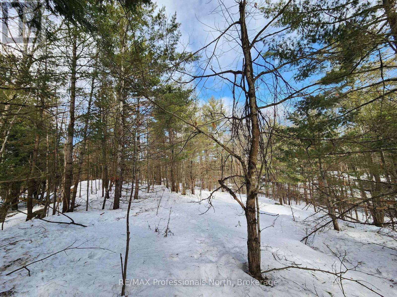 00 Manitoba Road, Bracebridge, Ontario  P1L 1W9 - Photo 9 - X12884116